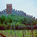 Suave castle