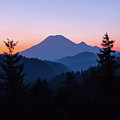 Mt. Rainier In Blue